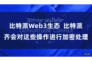 比特派Web3生态 比特派齐会对这些操作进行加密处理
