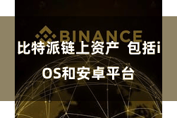 比特派链上资产 包括iOS和安卓平台