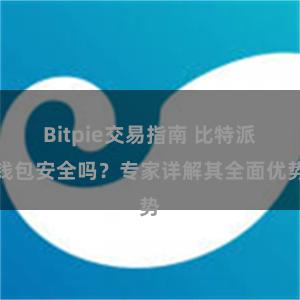 Bitpie交易指南 比特派钱包安全吗？专家详解其全面优势