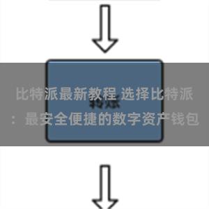 比特派最新教程 选择比特派：最安全便捷的数字资产钱包