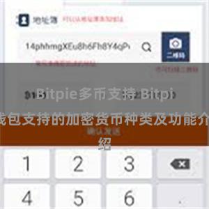 Bitpie多币支持 Bitpie钱包支持的加密货币种类及功能介绍