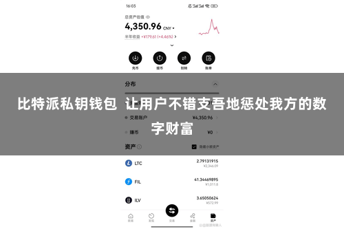 比特派私钥钱包  让用户不错支吾地惩处我方的数字财富