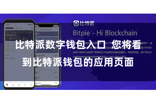 比特派数字钱包入口  您将看到比特派钱包的应用页面