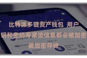 比特派多链资产钱包  用户的私钥和密码等紧迫信息都会被加密存储