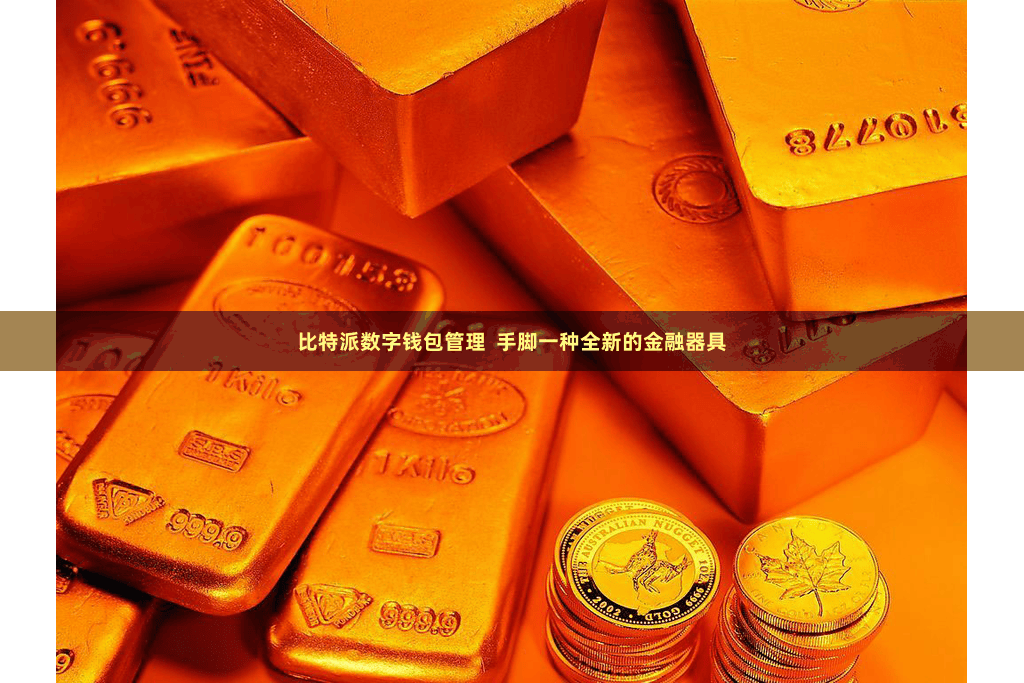 比特派数字钱包管理  手脚一种全新的金融器具